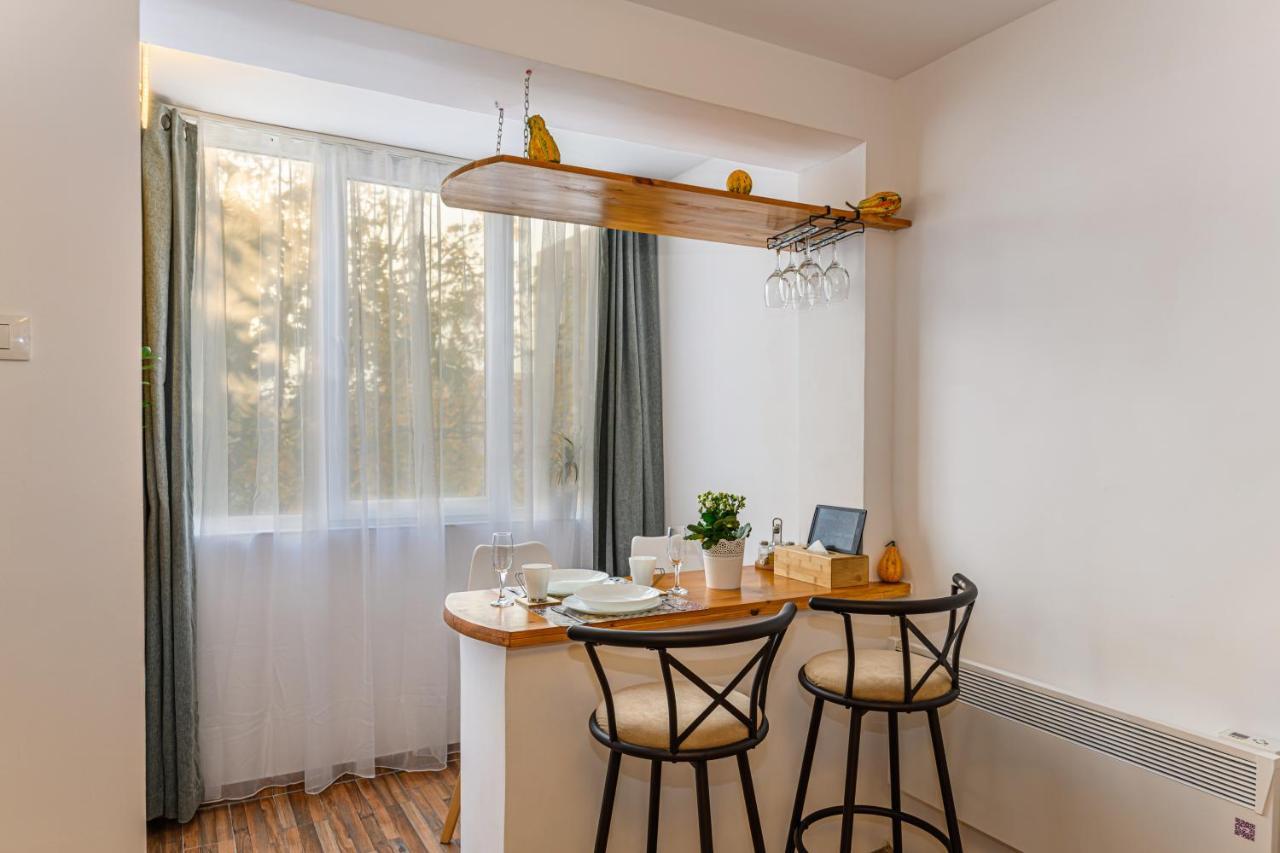 Jad - Family - Apartments & Studios Brasov Exterior photo